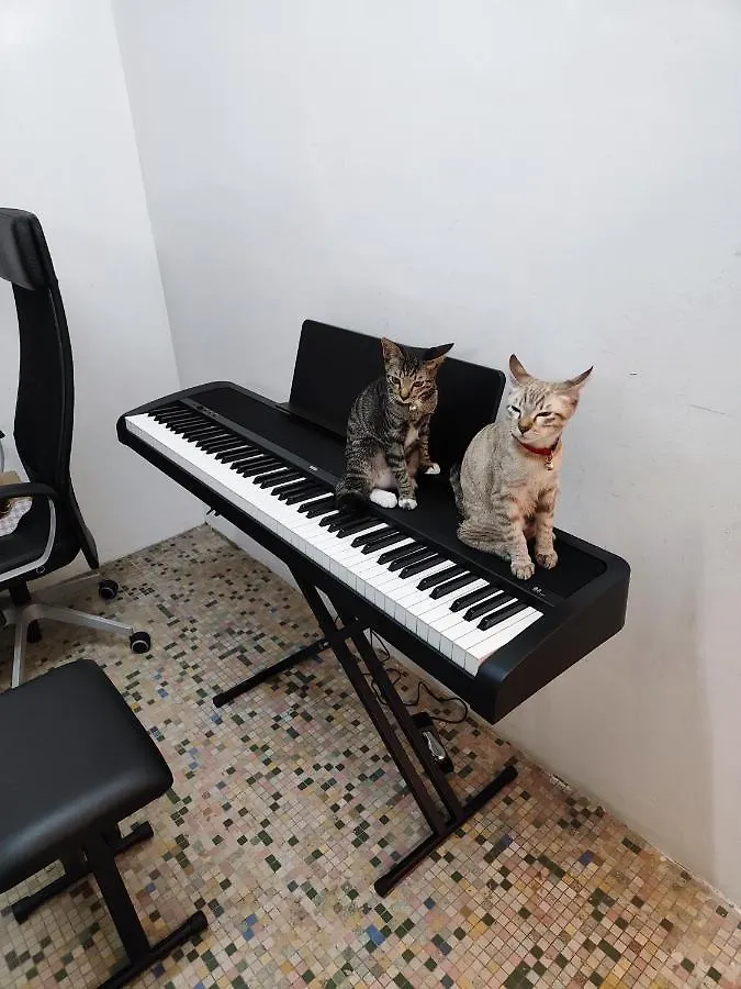 Digital Nomad House Kl Bukit Bintang - 24&7 Coworking Access Included Apartamento Kuala Lumpur